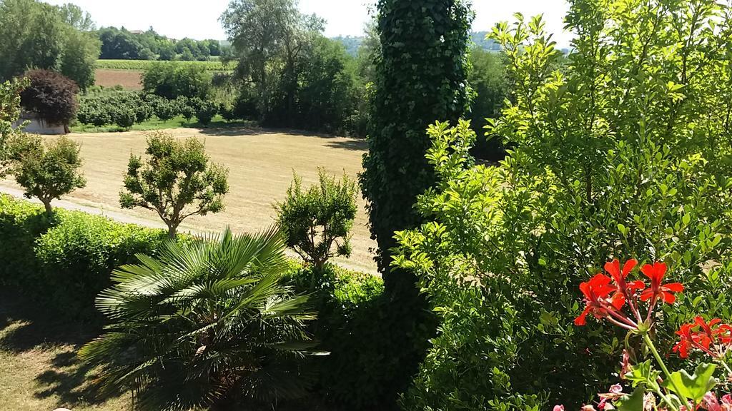 I Boidi Apartment Nizza Monferrato Exterior photo